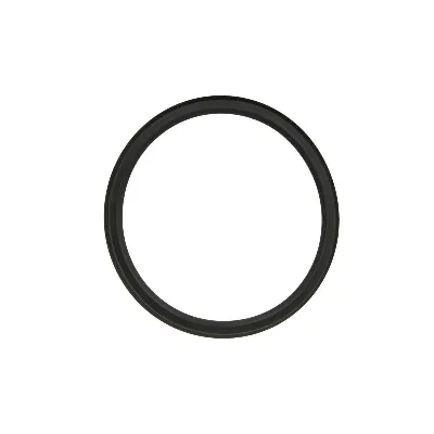 Zaptivka, davač nivoa u rezervoaru VAICO V10-2553 IC-E6B268