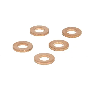 Zaptivka, držač dizne DELPHI DEL9001-850 IC-B7B7A4