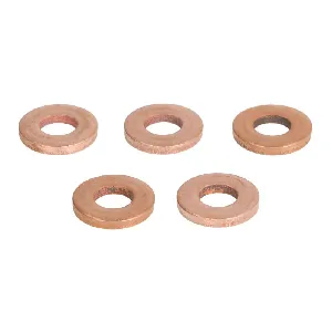 Zaptivka, držač dizne ENGITECH ENT250163 IC-DF171A