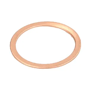 Zaptivka, držač dizne ENGITECH ENT250242/1 IC-G0VBMJ