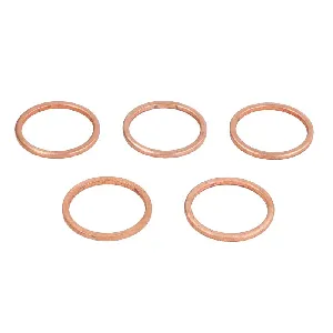 Zaptivka, držač dizne ENGITECH ENT250488 IC-G0QJJO