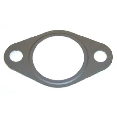 Zaptivka, EGR-ventil ELRING EL489990 IC-F8BCEA