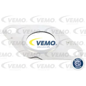 Zaptivka, EGR-ventil VEMO V99-99-0020 IC-G0QF59