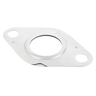 Zaptivka, EGR-ventil VEMO V99-99-0020 IC-G0QF59