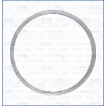 Zaptivka, izduvna cev AJUSA AJU01335500 IC-DAF88A