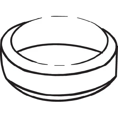 Zaptivka, izduvna cev BOSAL BOS256-216 IC-435354