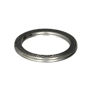 Zaptivka, izduvna cev BOSAL BOS256-229 IC-AF28E2