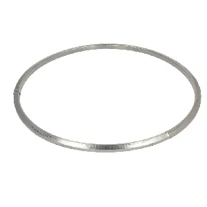 Zaptivka, izduvna cev DINEX DIN2AL008 IC-G0L5NM