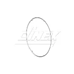 Zaptivka, izduvna cev DINEX DIN2KL016 IC-G0L5NP