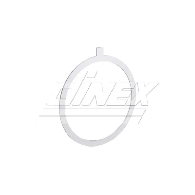 Zaptivka, izduvna cev DINEX DIN8AL001 IC-G0L5O0