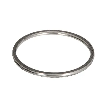 Zaptivka, izduvna cev ELRING EL509890 IC-F8CC0E