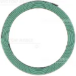 Zaptivka, izduvna cev REINZ 71-11160-00 IC-G0LNXT