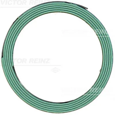 Zaptivka, izduvna cev REINZ 71-11160-00 IC-G0LNXT