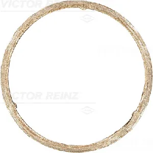 Zaptivka, izduvna cev REINZ 71-11399-00 IC-F586D5