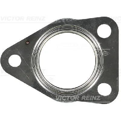 Zaptivka, izduvna cev REINZ 71-42072-00 IC-D45317