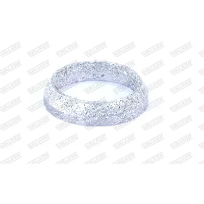 Zaptivka, izduvna cev WALKER WALK80763 IC-G04FO1