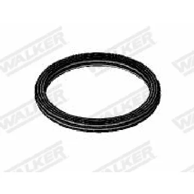 Zaptivka, izduvna cev WALKER WALK82017 IC-F89BAD