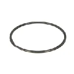 Zaptivka, izduvna grana DT KLIMA 1.10894 IC-C72EE6