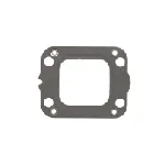 Zaptivka, izduvna grana ELRING EL541273 IC-G0BNG8