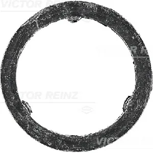 Zaptivka, izduvna grana REINZ 71-10129-00 IC-D70854