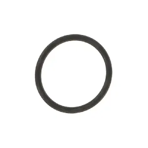 Zaptivka, kućište termostata ELRING EL248430 IC-DC7D43