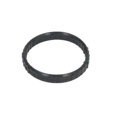 Zaptivka, kućište termostata ELRING EL446240 IC-E70175