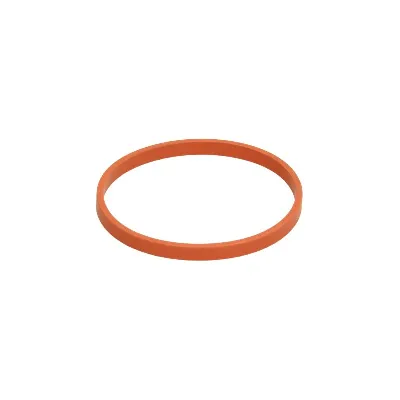 Zaptivka, kućište usisne grane ELRING EL006070 IC-D6819A