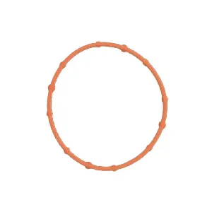 Zaptivka, kućište usisne grane ELRING EL560720 IC-G0IESY