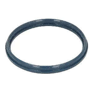 Zaptivka, kućište usisne grane ELRING EL575500 IC-C4C28A