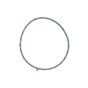 Zaptivka, kućište usisne grane ELRING EL711760 IC-G0V58U