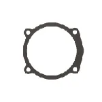 Zaptivka, kućište usisne grane ELRING EL906710 IC-G0LWLM