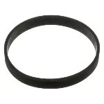 Zaptivka, kućište usisne grane FEBI FE100871 IC-E2F2FD