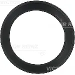 Zaptivka, kućište usisne grane REINZ 71-36061-00 IC-B30ACD