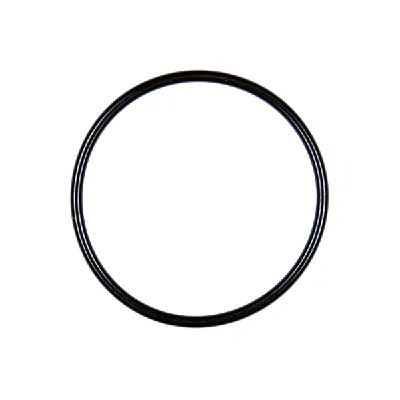 Zaptivka, kućište usisne grane VDO A2C59516938 IC-D67A12