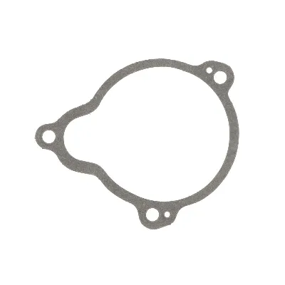 Zaptivka poklopca alternatora ATHENA S410195017010 IC-G0X0G9