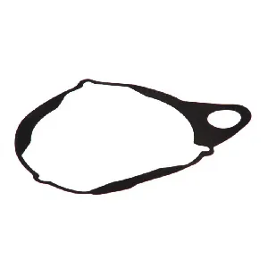 Zaptivka poklopca alternatora ATHENA S410210017002 IC-487526