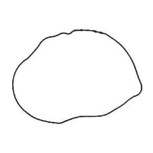 Zaptivka poklopca alternatora ATHENA S410210017063 IC-487584