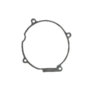 Zaptivka poklopca alternatora ATHENA S410210149021 IC-487914