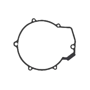 Zaptivka poklopca alternatora ATHENA S410220028004 IC-E3833E