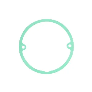 Zaptivka poklopca alternatora ATHENA S410250014002 IC-488374