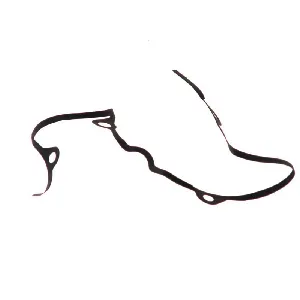 Zaptivka poklopca alternatora ATHENA S410250014004 IC-488376