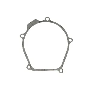 Zaptivka poklopca alternatora ATHENA S410250017013 IC-488440