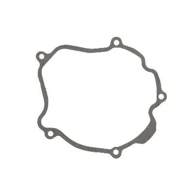 Zaptivka poklopca alternatora ATHENA S410250017014 IC-488441