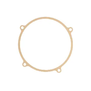 Zaptivka poklopca alternatora ATHENA S410270028005 IC-488821