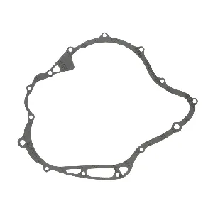 Zaptivka poklopca alternatora ATHENA S410485016002 IC-490291