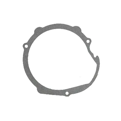 Zaptivka poklopca alternatora ATHENA S410510017019 IC-491153