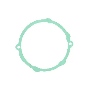 Zaptivka poklopca alternatora ATHENA S410510017055 IC-491186