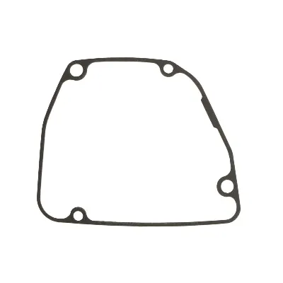 Zaptivka poklopca alternatora ATHENA S410510017100 IC-BA5D05