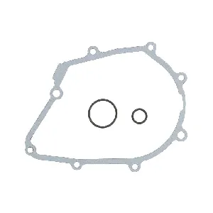 Zaptivka poklopca alternatora WINDEROSA W331003 IC-G0OIPO