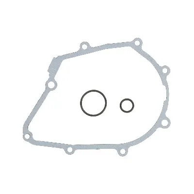 Zaptivka poklopca alternatora WINDEROSA W331003 IC-G0OIPO